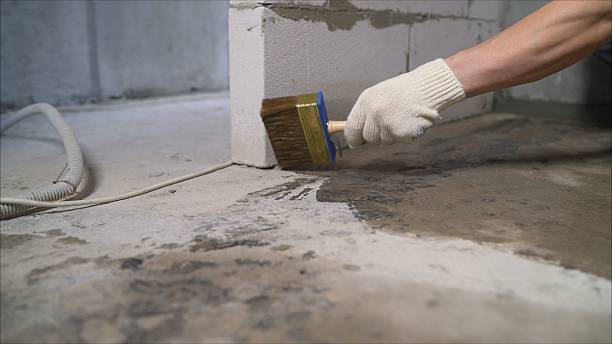 24/7 Emergency Wet Basement Repair experts in Silverhill, AL